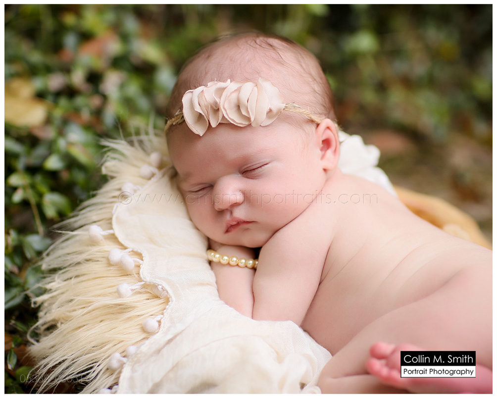 © Collin M. Smith Portrait Photography www.cmsmithportraits.com/blog